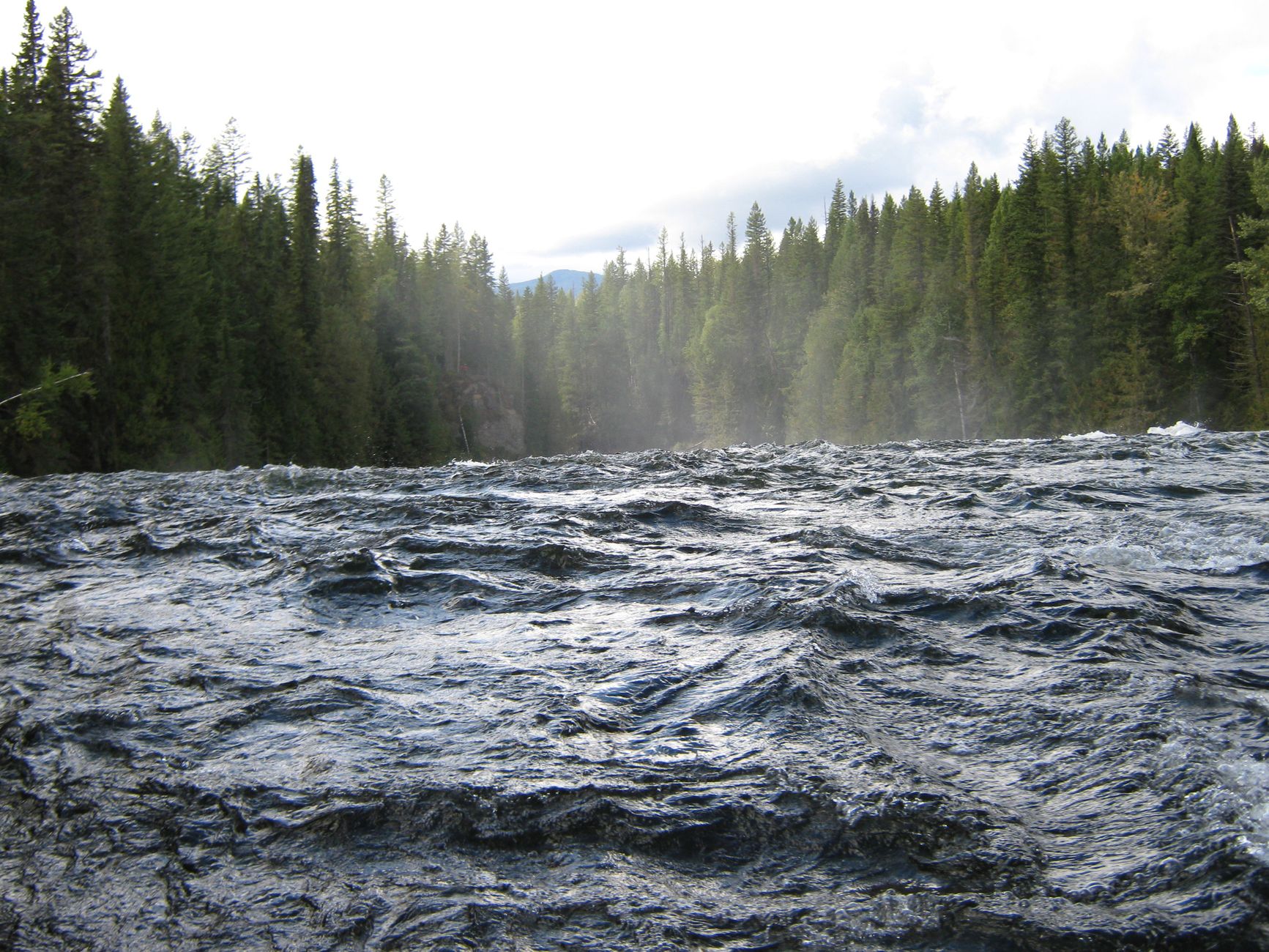 Rivière aux eaux vives en forêt boréale
